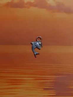 Delfina Dolphin Charm