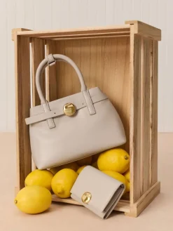 Mini Behn Belted Tote Bag